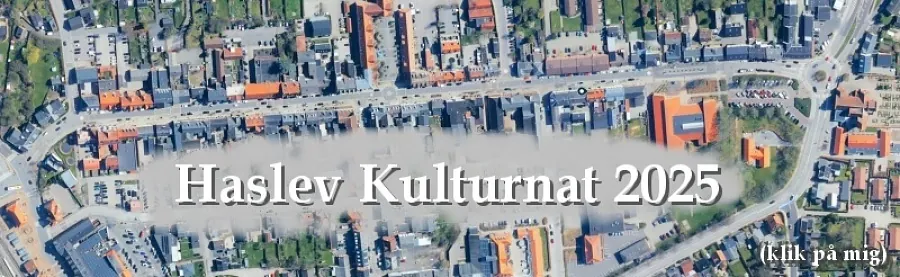 Haslev Kulturnat 2025